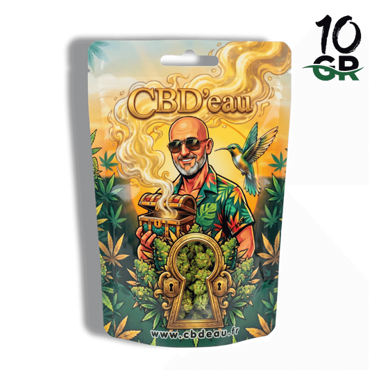 Sachet préemballé de fleurs de CBD, packaging illustré et poignée.
