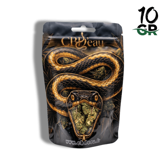Sachet préemballé de fleurs de CBD, motif serpent doré, fenêtre avec fleurs