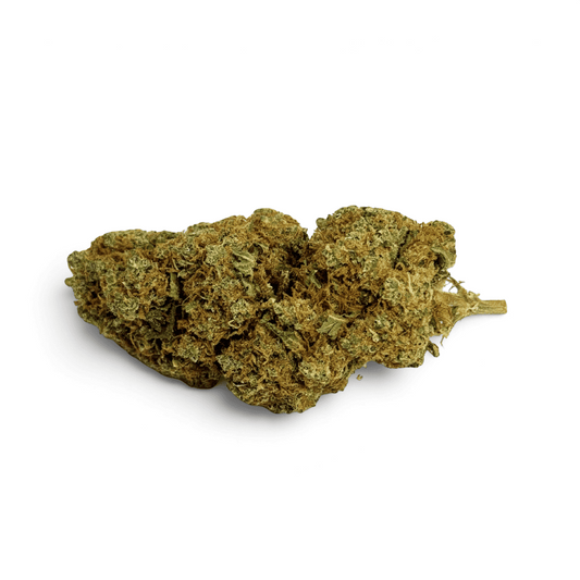 Fleurs de CBD en brins, vert olive, aspect séché et touffu