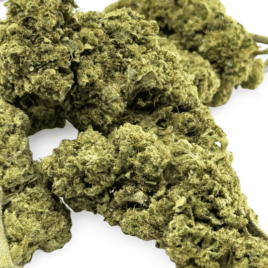 Fleurs de CBD vertes très denses, détails des tiges et bractées.