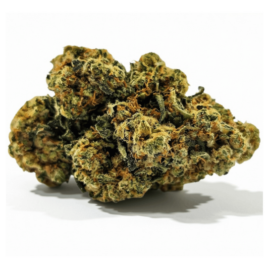 Fleurs CBD d’intérieur, têtes denses vertes et orangées aux détails trichomes